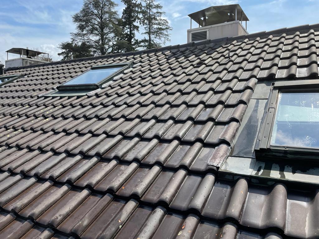 toit d'une maison juste après un demoussage de toiture à Rolle